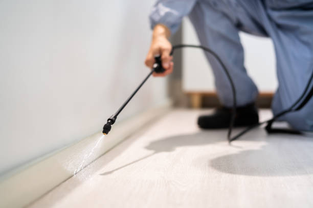 Licensed Pest Control service in Channel Lake, IL - Show Me Pest Control